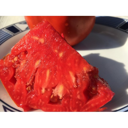 Seminte de tomate Inima de Bivol Gigant